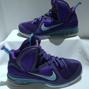 LeBron IX - Summit Lake Hornets Men's Size US 10
